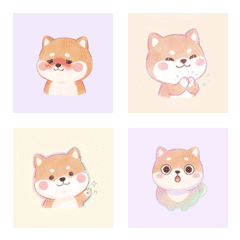 柴犬的暖呼呼 ♪ 1