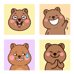 短尾矮袋鼠的臉 ♪ 1