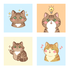 挪威森林貓的悠臉 ♪ 1