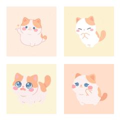 拿破崙貓的麻糬臉 ♪ 1