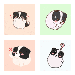 邊牧的麻糬臉 ♪ 1