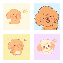 玩具貴賓的悠臉 ♪ 1