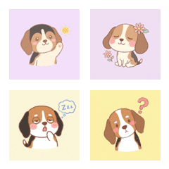 米格魯的悠臉 ♪ 1