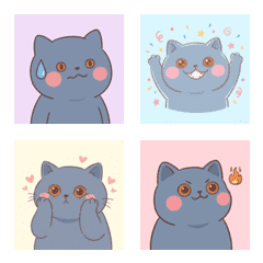 英短的悠臉 ♪ 1