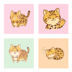 孟加拉的悠臉 ♪ 1