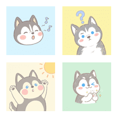 哈士奇的悠臉 ♪ 1