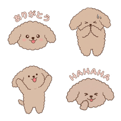 Fluffy Toy Poodle Daily Emoji Stickers