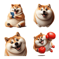 3D fat shiba dog reaction
