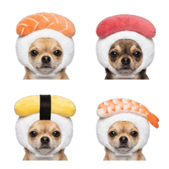 《吉娃娃》可愛頭套表情貼 - 壽司