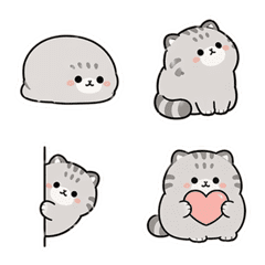 一整隻曼努爾貓