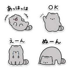 Manu和Manul貓的日常生活