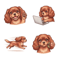 實用的紅寶石色騎士小獵犬