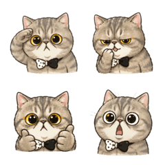 lulu 日常表情貼