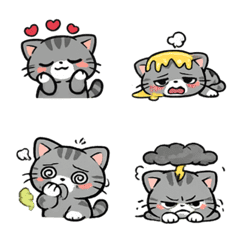 浮誇小灰貓・無字情緒全開