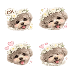 My dog is number one!02pino