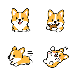 可愛柯基日常聊天表情貼