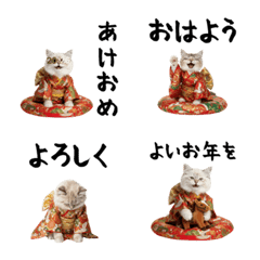 CAT  GOOD  Emoji115