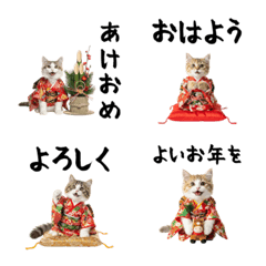 CAT  GOOD  Emoji113