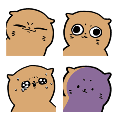 Tanuki Big Face