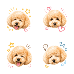 My dog is number one!01tono