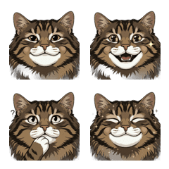Realistic Siberian Cat Face Emoji x40