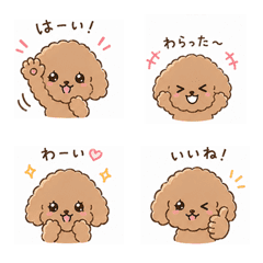 Fluffy Poodle Daily Emoji