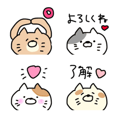 Cute cat, popping out