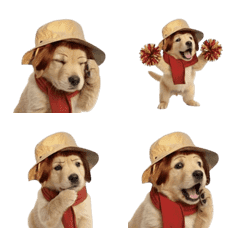 Mischievous Golden Retriever (ANMZ)