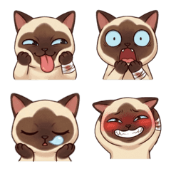 暹羅貓 3阿雜的日常臉部表情