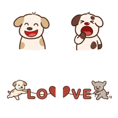 斑斑&灰灰&棕棕