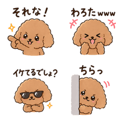 Funny Toy Poodle Emoji