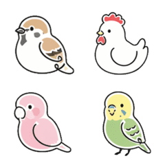 BBBBird