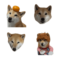 moving azuki