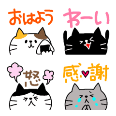 ねこいっぱい‼️