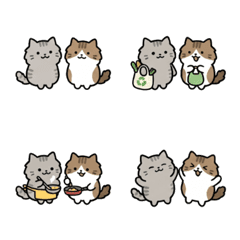 Super Expressive & Cute Twin Cats Emojis