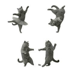 Too real cat emoji vol.1