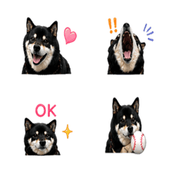 Black mameshiba Emoji