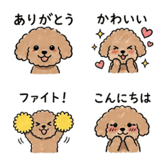 Fluffy Toy Poodle Daily Phrases