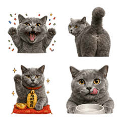 紫米是最可愛ㄉ貓