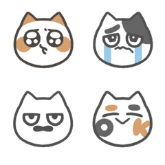 Cute patterned cats