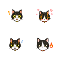 Sabi Neko & Hachiware Cat Emoji