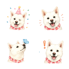 Cute Shiba Inu Stickers 8