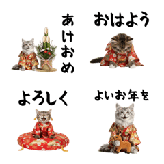 CAT  GOOD  Emoji116