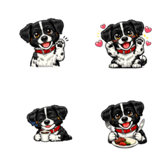 Expressive dogs in our daily lives