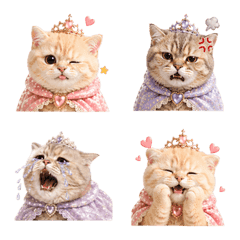 本公主很難搞｜喜怒哀樂