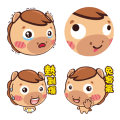 感性的小馬