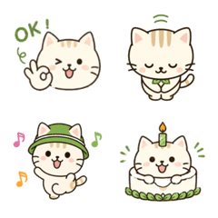Botanical Cat