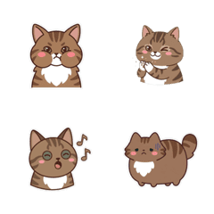 挪威森林貓 清爽 - AG