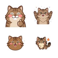 西伯利亞貓 清爽 - AG