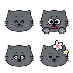 Black Calico Cat Emotions